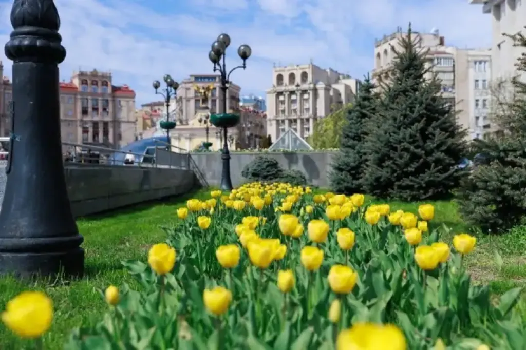 Київ розквітнув тюльпанами: де шукати найяскравіші весняні локації