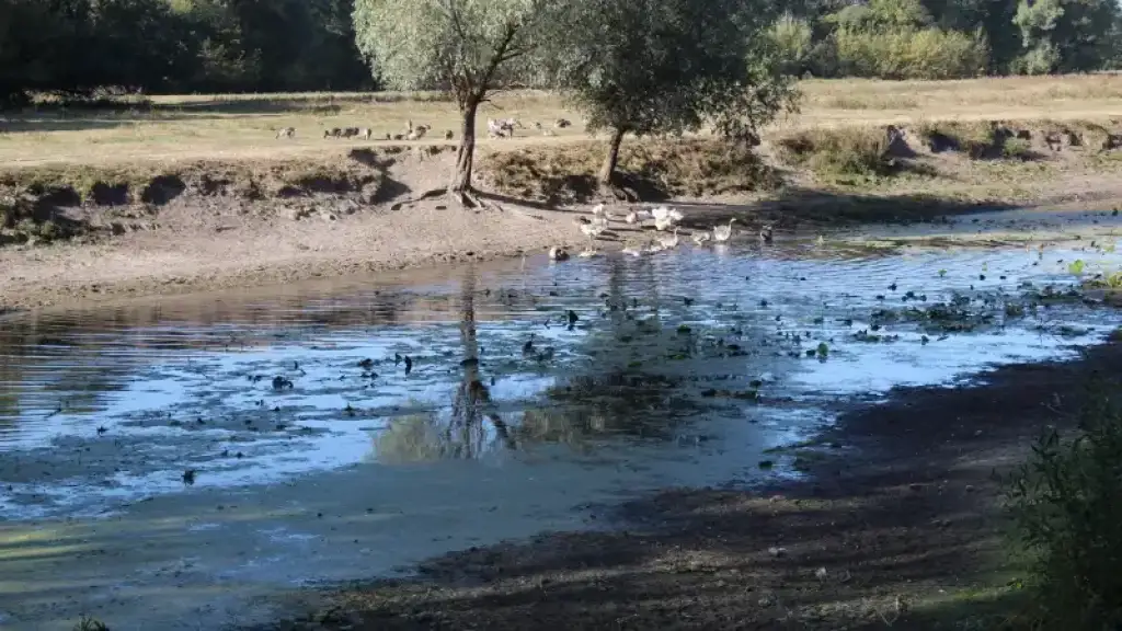 Кияни назвали головні проблеми столичних водойм: забруднення, мілководдя й відсутність благоустрою