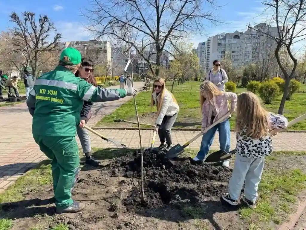 У Києві зацвіли сакури: мешканці Дарниці створили японську алею памʼяті