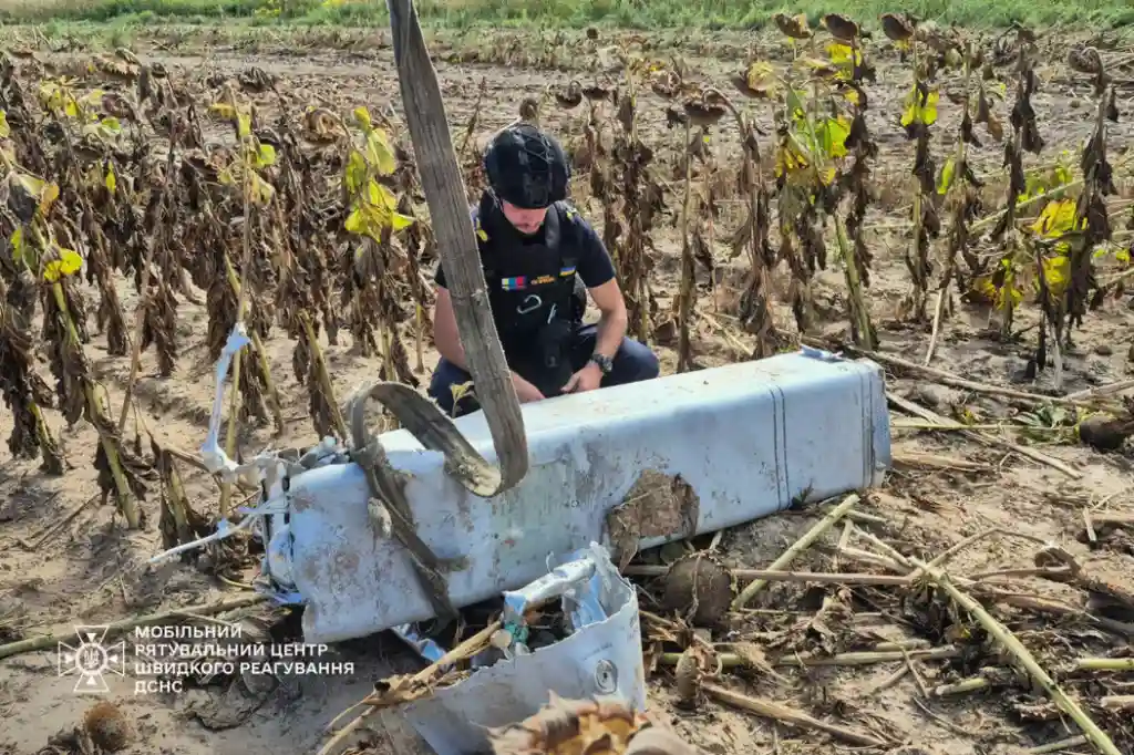 На Київщині ракета рф зруйнувала поле соняшників: сапери вилучили бойову частину
