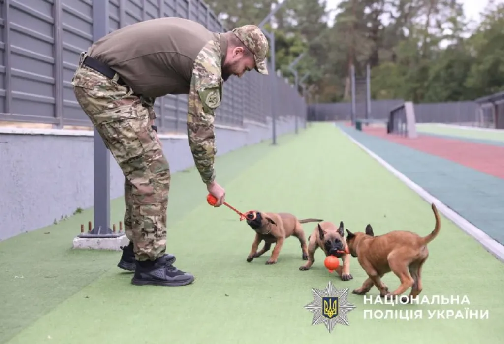 На Київщині службові собаки допомагають ветеранам долати стрес після війни