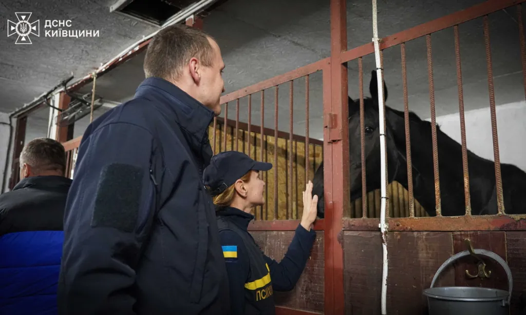 На Київщині рятувальники пройшли кінну терапію разом із родинами