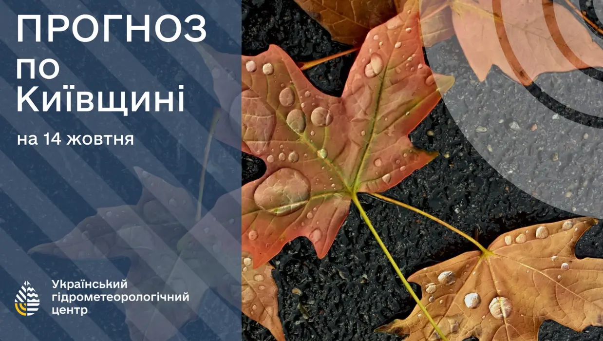 Перший сніг у столиці: у Києві прогнозують похолодання та мокрий сніг