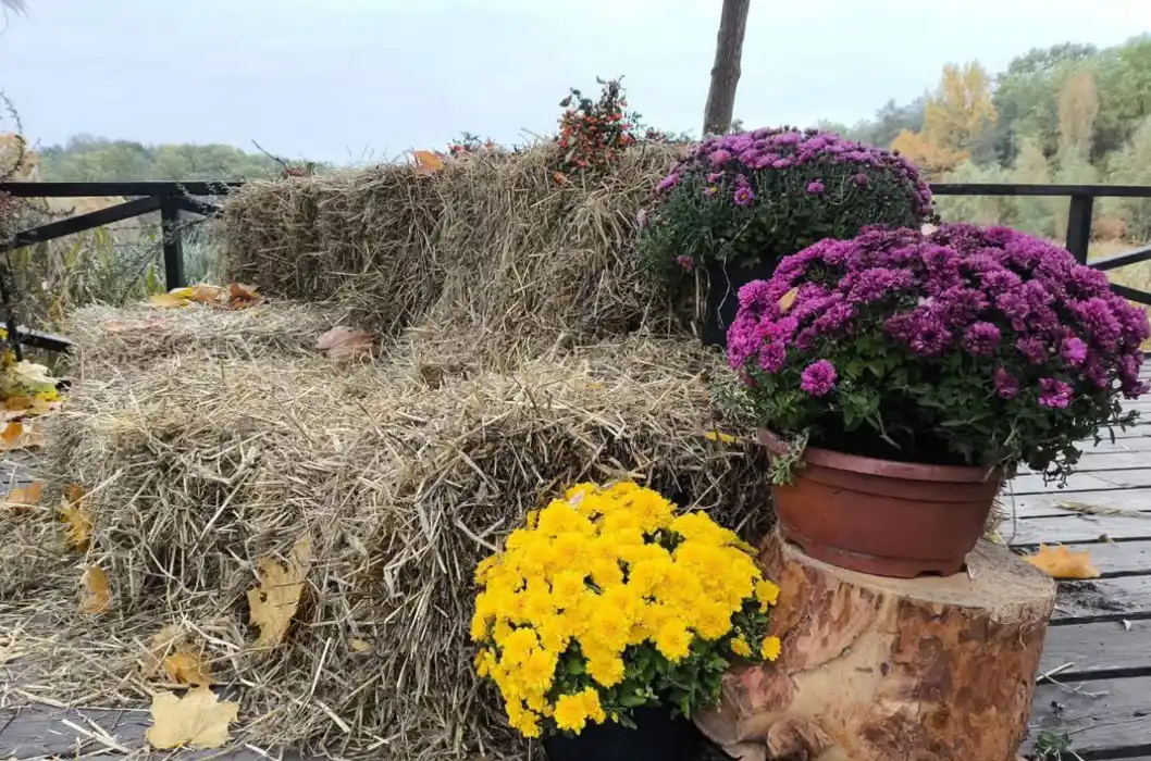 Осіння магія у столиці: у парку Партизанської слави з’явилася нова фотозона