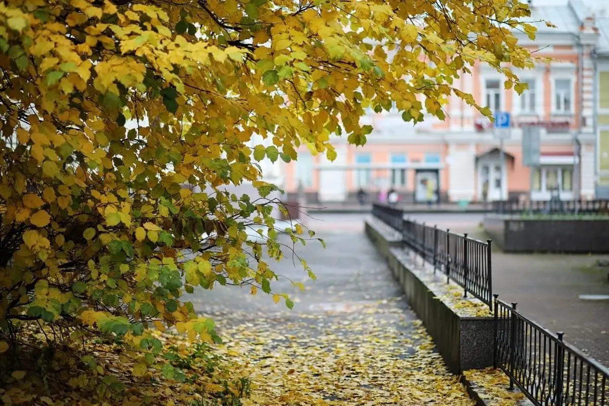Київ накриє суцільна хмарність: столиця проведе 29 листопада без опадів