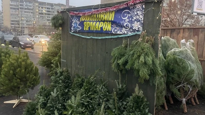 У Києві стартував сезон ялинкових ярмарків: понад сотня локацій і нові ціни