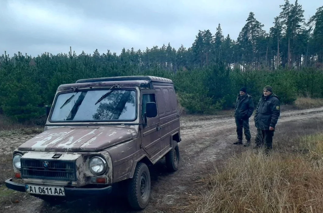 Перед святами киянам нагадали про відповідальність: у міських лісах посилили охорону хвойних