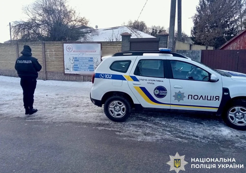 На Київщині відкрили справу через жорстоке поводження: кошеня кинули об стіну заради відео