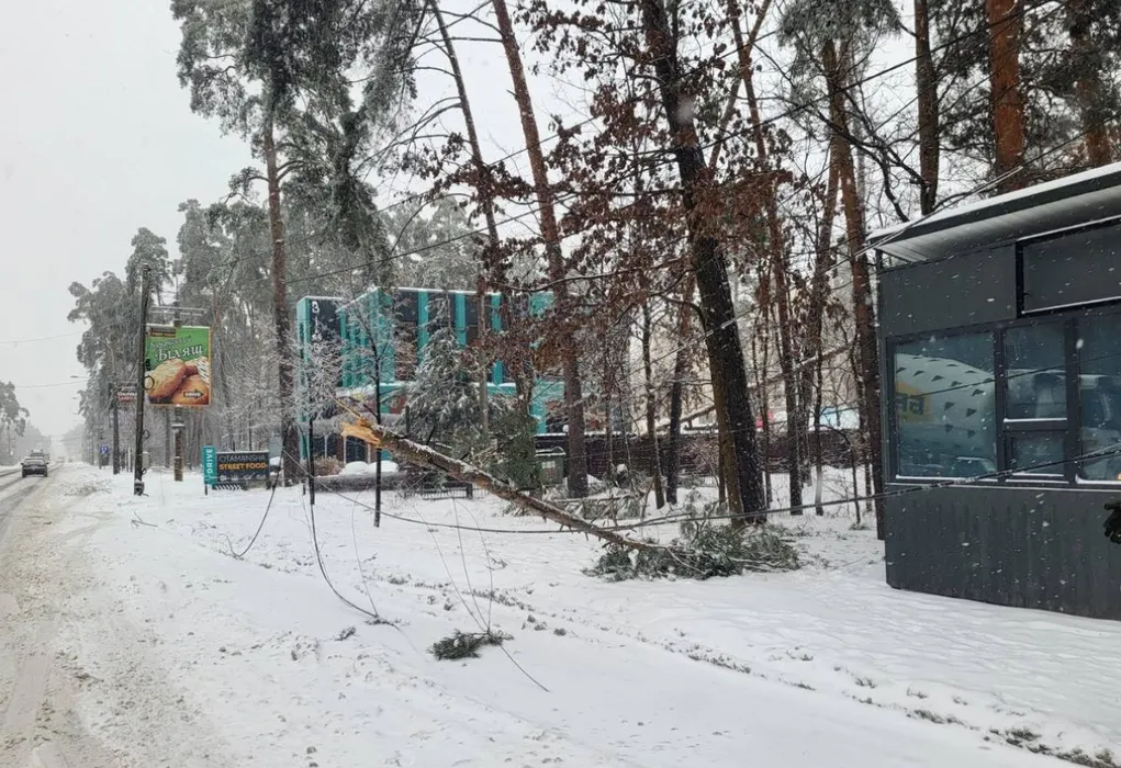 Негода на Київщині: сніг, вітер і ожеледиця повалили дерева та пошкодили лінії електропередач