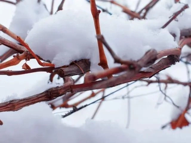 Київ готує запас міцності: як столиця переживатиме зиму без стабільного світла