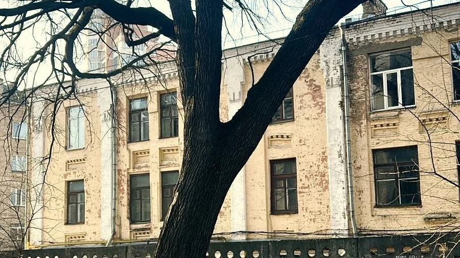 У Києві трисотрічний дуб з полотна Пимоненка взяли під особливу охорону