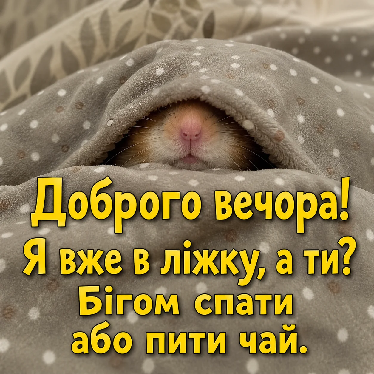 Красиві картинки доброго вечора: душевна добірка листівок для гарного настрою