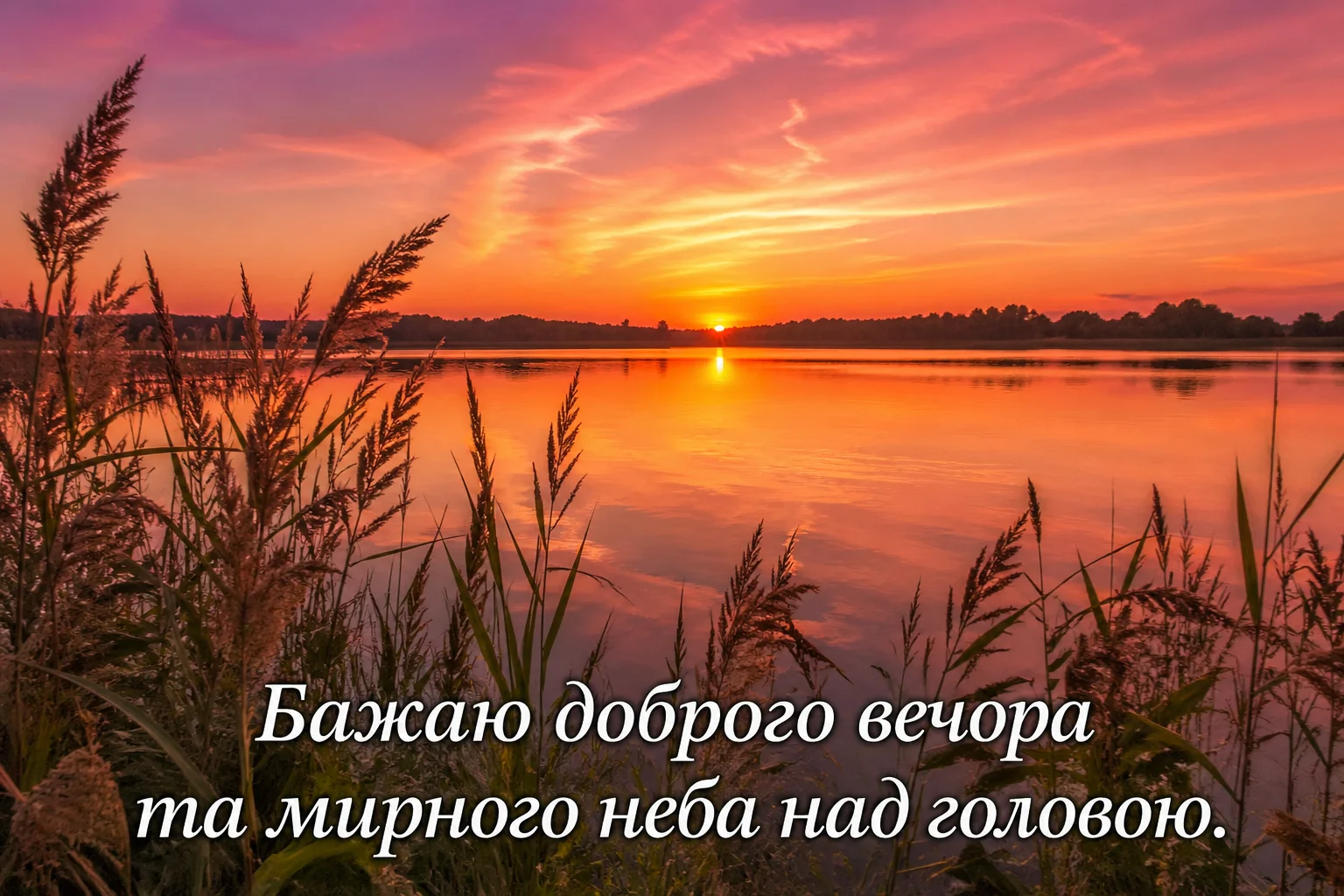 Красиві картинки доброго вечора: душевна добірка листівок для гарного настрою
