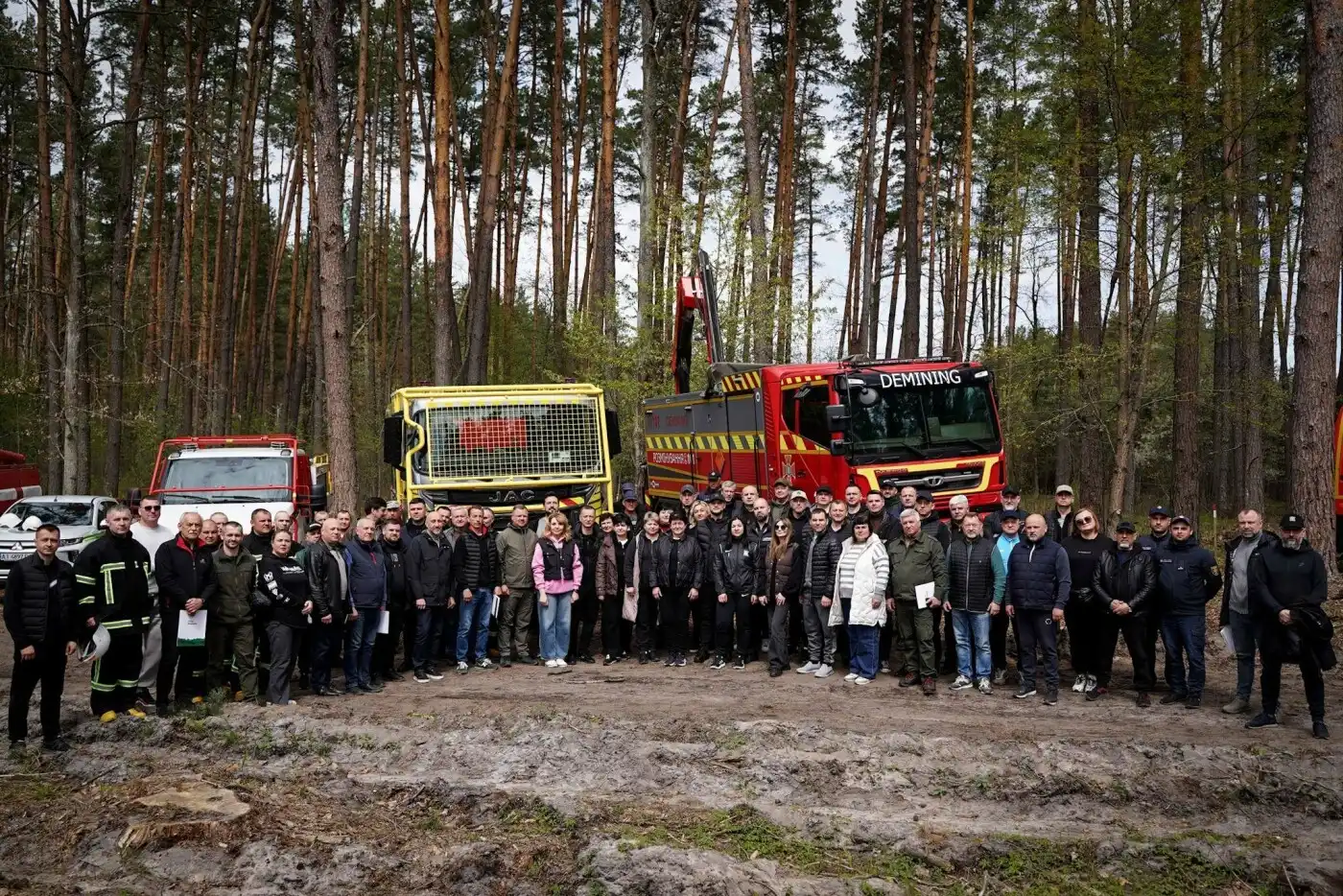 Зелений символ відродження: на розмінованих землях Київщини висадили тисячі дерев
