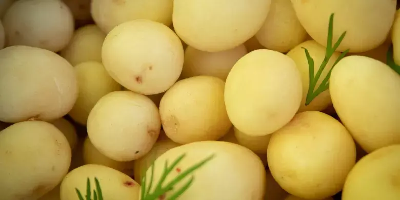 Продуктовий кошик від виробника: КМДА оголосила про запуск масштабних ярмарків у столиці