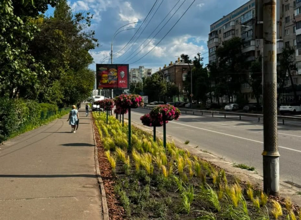 Вертикальне озеленення на Чоколівському бульварі: Солом’янський район прикрасили сотнями стійких рослин